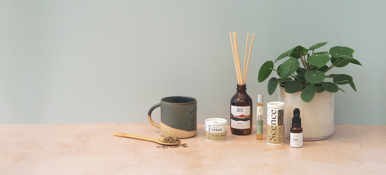 Wearth sustainable lifestyle products